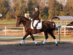 IMG_7854_web